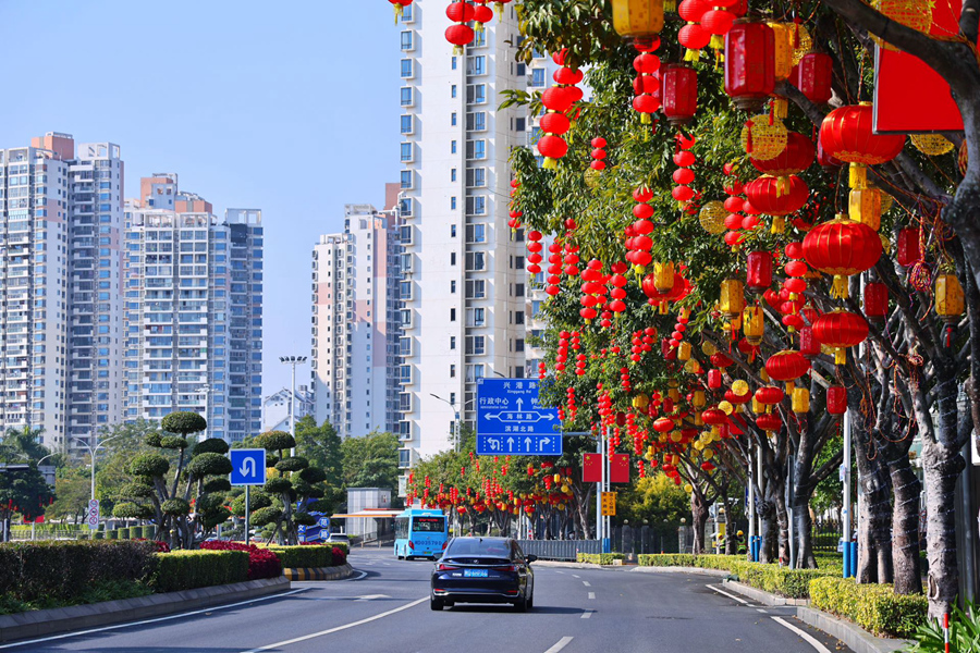 在厦门兴港路上，琳琅满目的灯笼挂满枝头。李娴凤摄