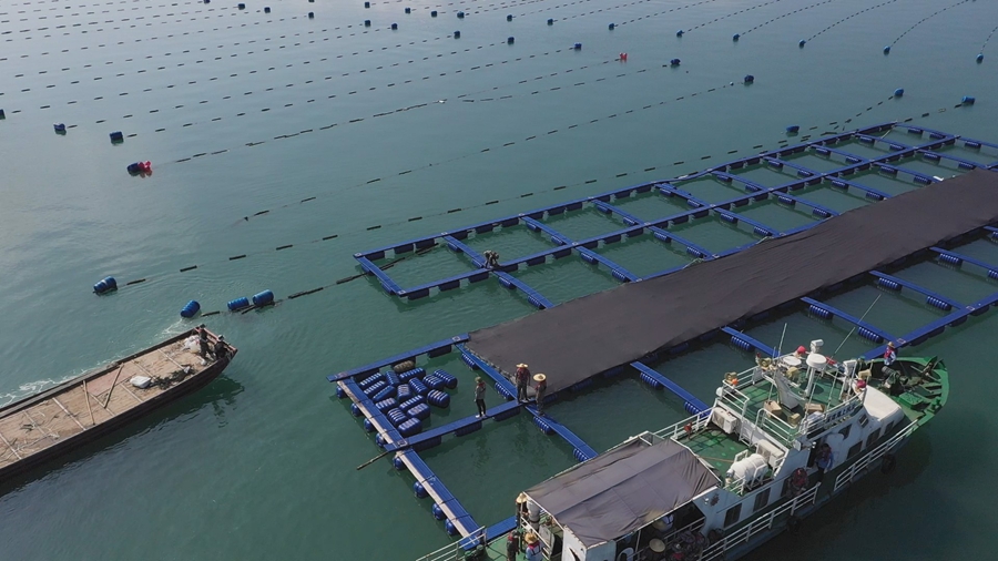 清退超规划网箱养殖