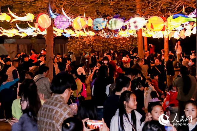 各式花燈引人駐足觀賞。人民網記者 陳博攝