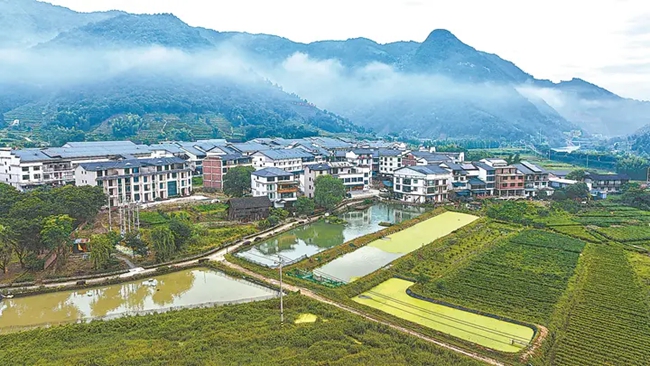 赤溪村。林熙摄