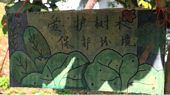 電影學院的學生們為校園內的植物制作樹牌