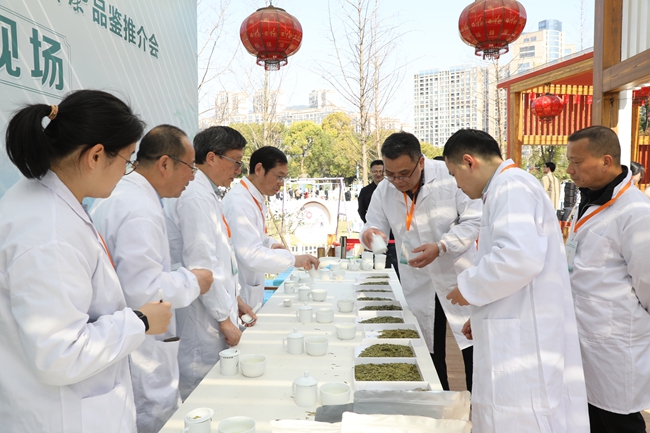 品评茶叶
