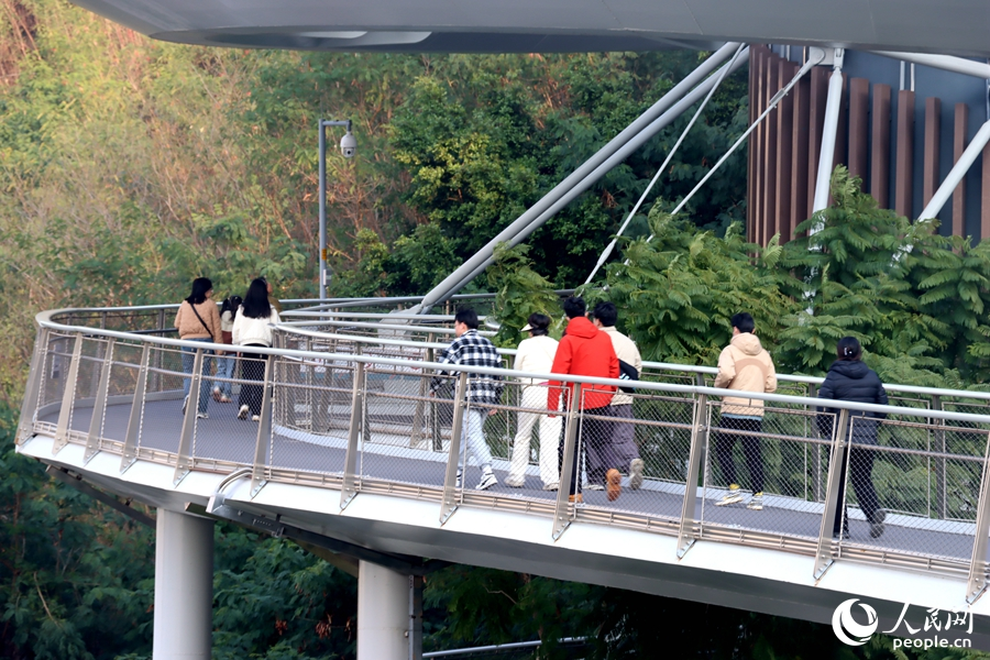 廈門山海健康步道雲海線全長約23公裡，架設在山林之間，為市民和游客提供了近距離觀賞植物的絕佳機會，沿線串聯筼筜湖、狐尾山、仙岳山、園山、薛嶺山、虎頭山、金山、湖邊水庫、五緣灣、虎仔山、觀音山等島內的“八山三水”。人民網 謝星宇攝