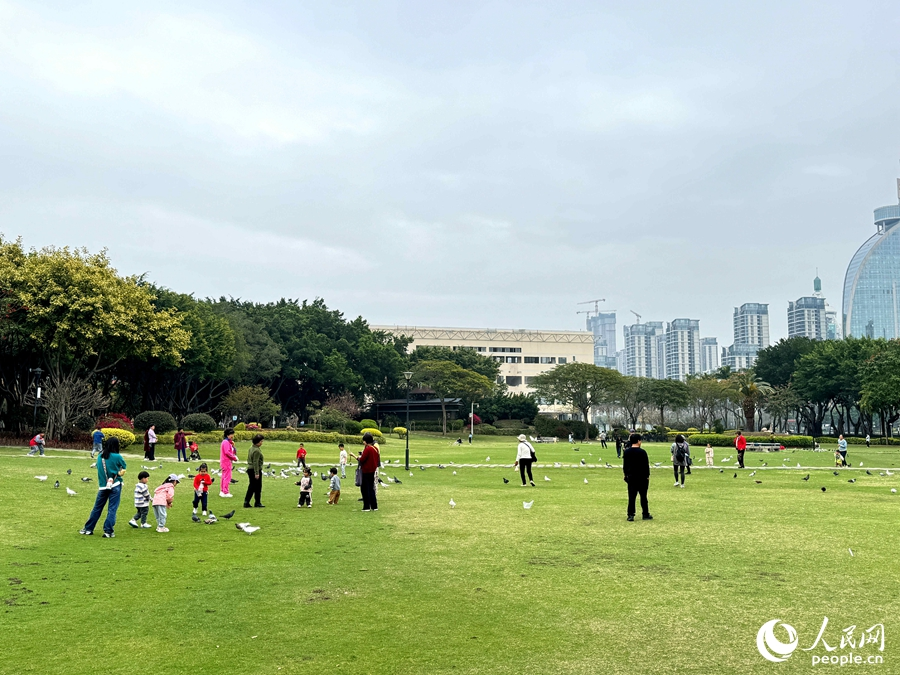 白鷺洲公園裡白鴿翩躚，體驗人與自然的和諧融洽。人民網 謝星宇攝