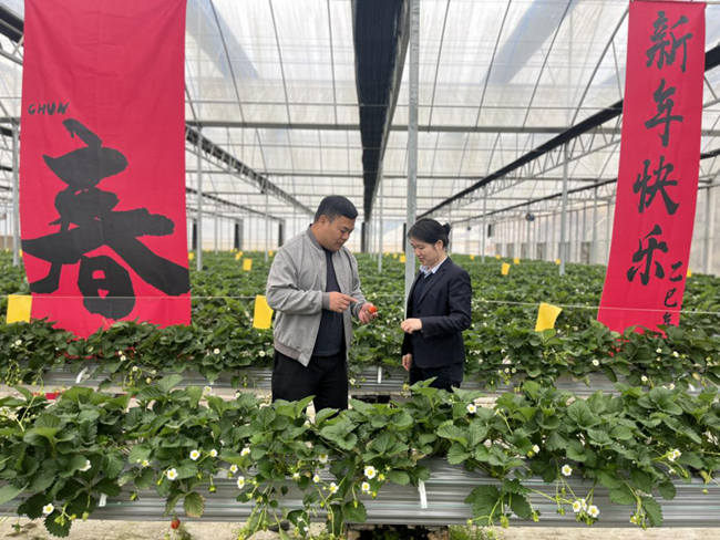 銀行員工深入種植戶了解需求