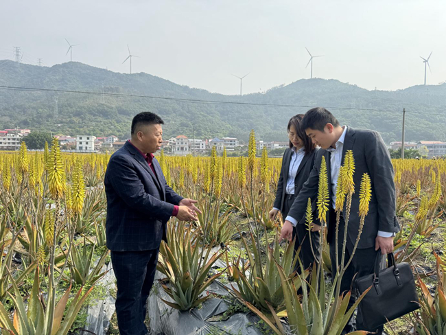 工作人員深入種植園了解企業需求。農行莆田荔城支行供圖