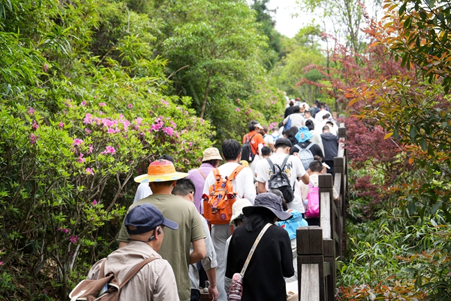 登山栈道