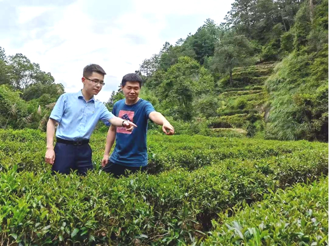 厦门国际银行南平分行员工走访茶山茶园
