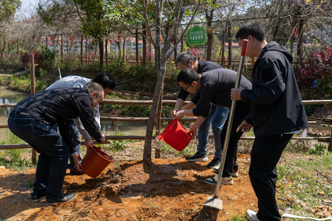 三方共同栽下象征友谊的树木