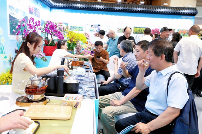 游客品尝周宁高山云雾茶。汤文娟摄