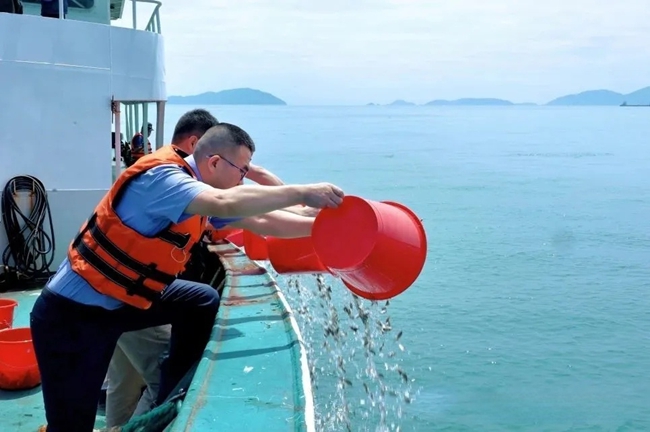 放流活动现场