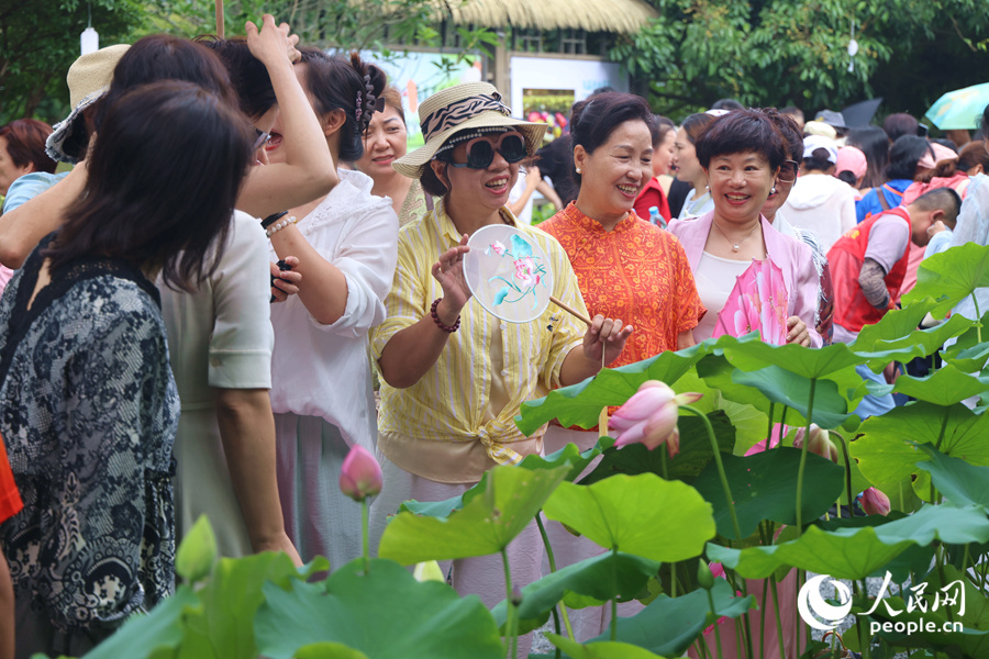 盛開的蓮花深受市民游客青睞。人民網記者 陳博攝