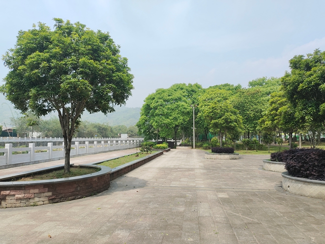 “口袋公园”扮靓乡村