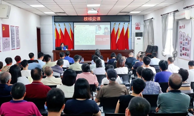 林丹为在场党员们上党课