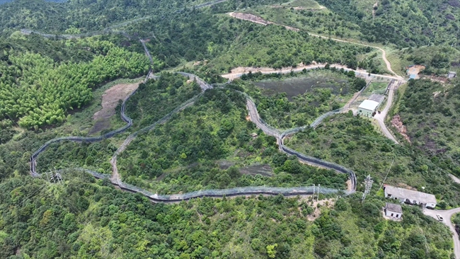 梅花山华南虎繁育野化训练基地