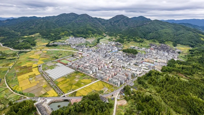 禮門鄉全景。陳兆瑜攝