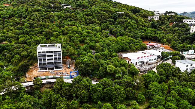 福建省青欖食品有限公司橄欖園。工行福州閩清支行供圖