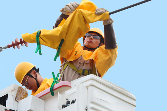 國網莆田供電公司推進配網改造升級與不停電作業，提升供電可靠性。李曉婷攝