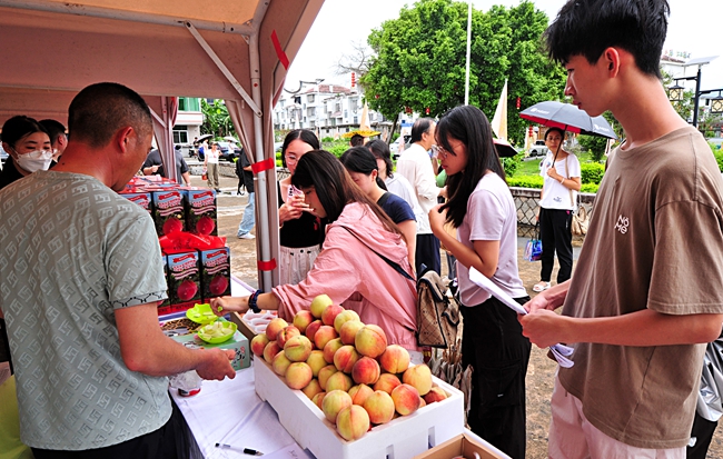 “桃醉闽清”农文旅集市