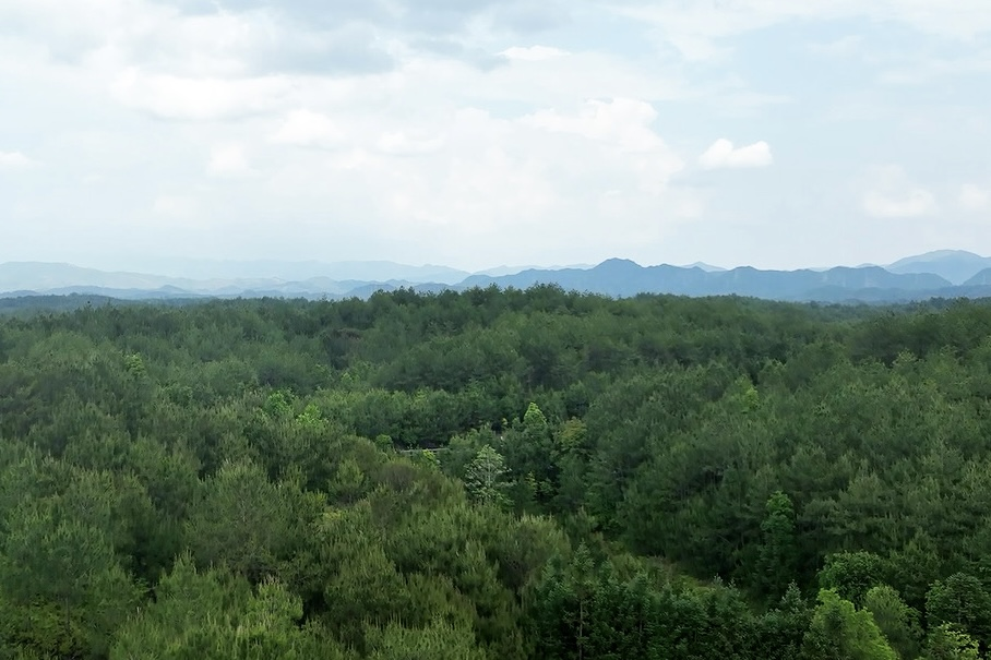 長汀縣羅地草山（2022年）。長汀縣水土保持中心供圖