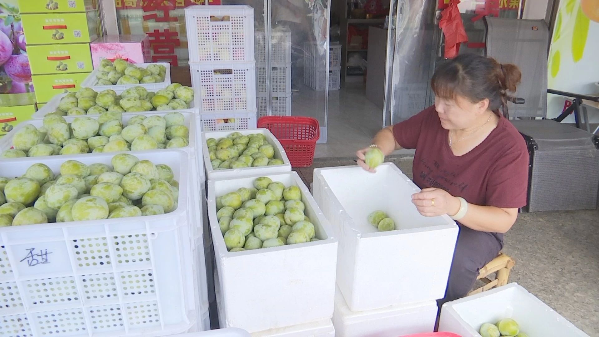 商家正在整理摆放新鲜上市的油奈