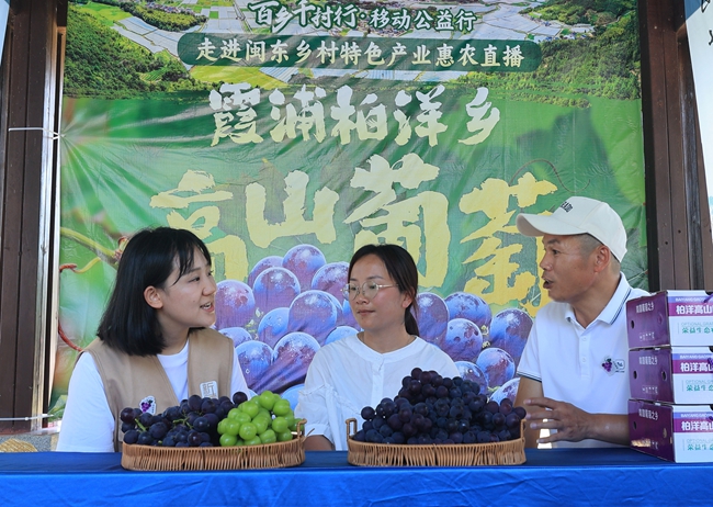 直播帶貨