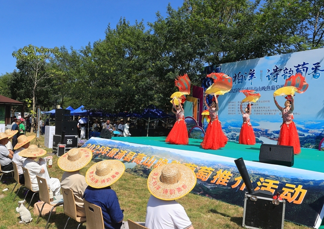 現場表演