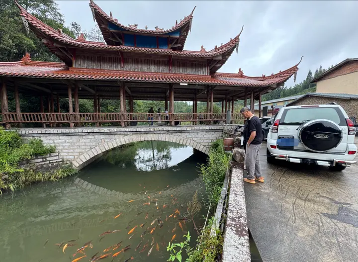 福州旅居游客在紫云村赏鱼。龚键荣摄