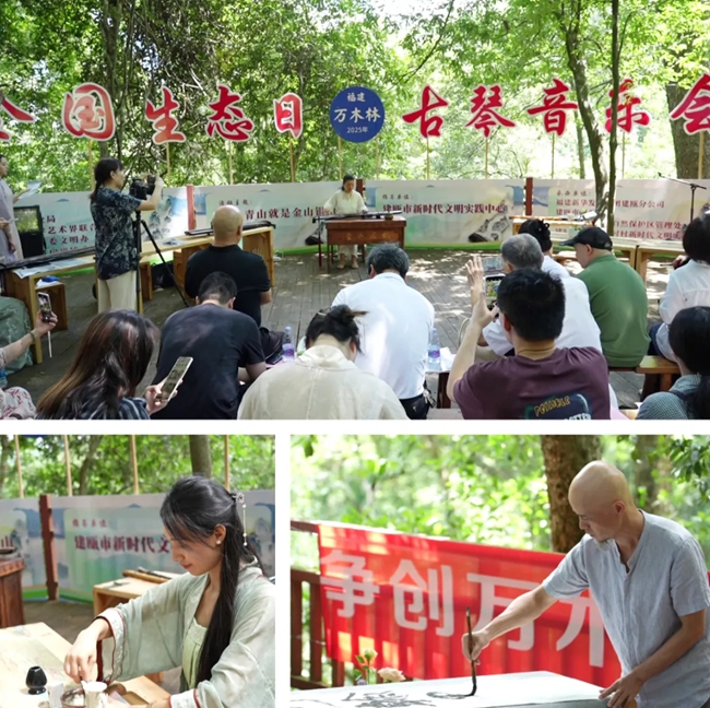 现场表演
