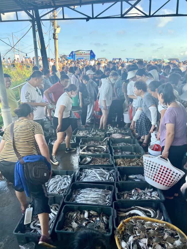 选购海货的市民络绎不绝