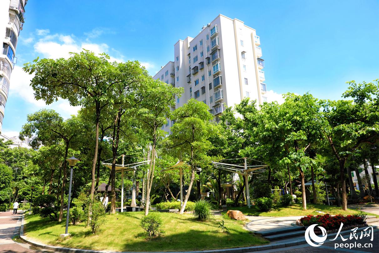 厦门市集美区宁宝社区通过党建引领“自治+物业顾问”推动社区环境整治焕新。人民网 李唯一摄