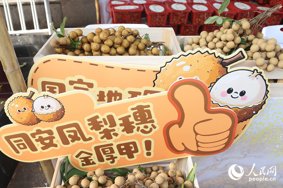 摊位上摆满了刚采摘不久的龙眼鲜果。人民网记者 陈博摄