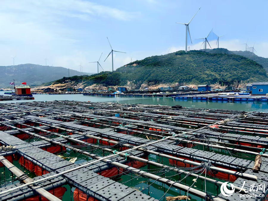 海上鲍鱼养殖场。人民网 叶青卿摄