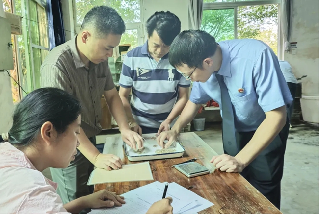 水产养殖领域专家对海蚌苗进行检测验收，确认其符合放流标准