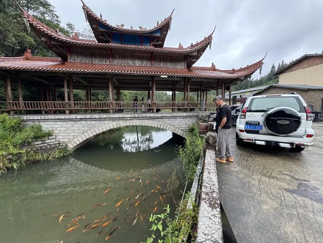 福州旅居游客在紫云村赏鱼