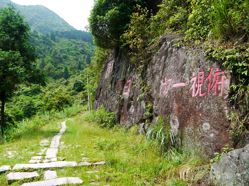 白鹤岭古官道上的摩崖石刻群。宁德市蕉城区文体旅局供图