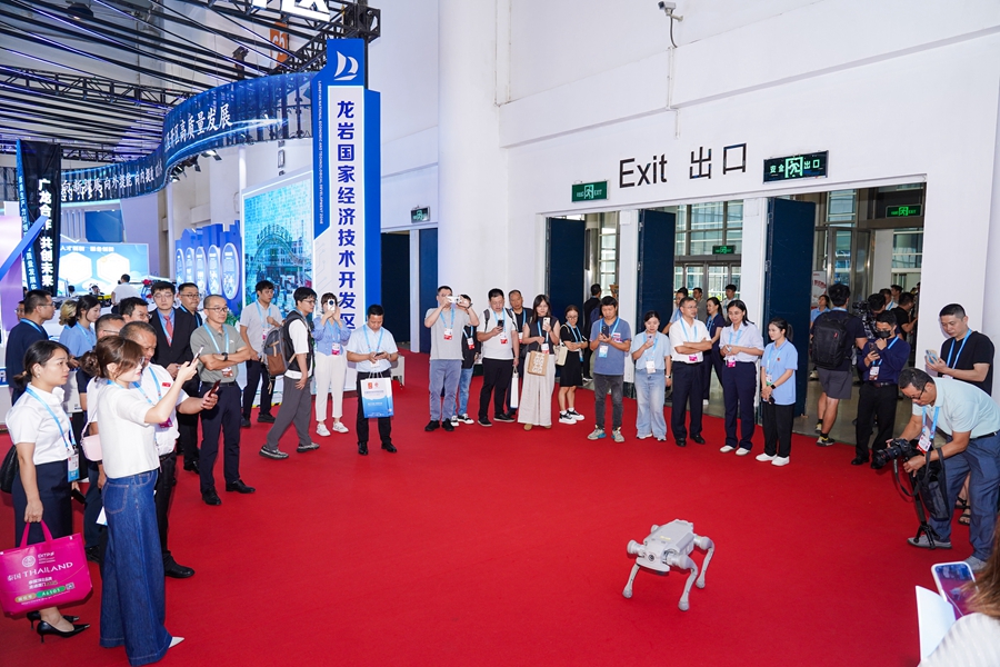 9月8日，第二十五届中国国际投资贸易洽谈会在厦门国际会展中心开幕，此为海沧馆智能机器狗现场献技表演，吸引众多客商驻足观看。陈亚沙摄