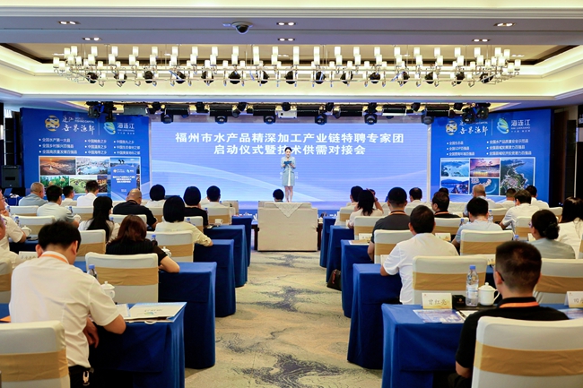对接会现场