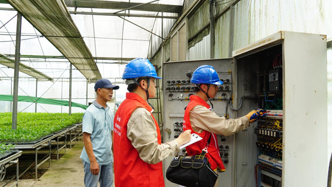 何澤奕和龔海林正在檢查百香果育苗大棚裡的供電設備