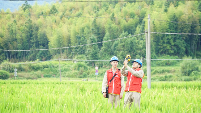 何奕和龔海林正在10千伏危沖線15號杆附近對線路進行測溫