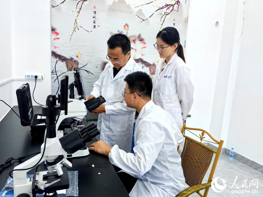 孙云章和他的学生在实验室里检测采集回来的样本。人民网 苏海森摄