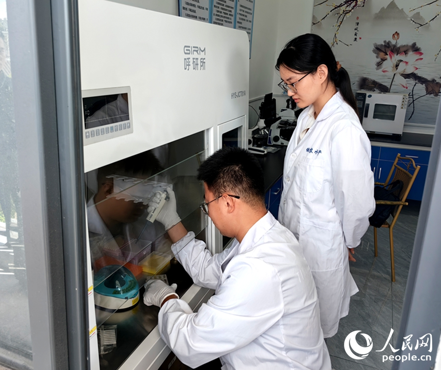 集美大学水产学院学生在实验室里做实验。人民网 苏海森摄