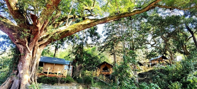 大喜小海狸森林露營地