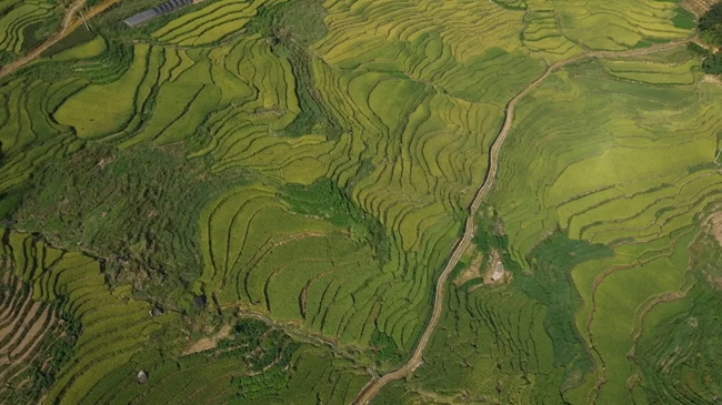 聯合梯田。黃功興攝