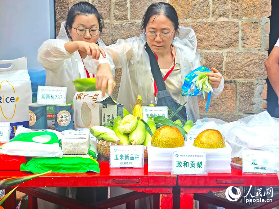 菜溪鄉象星村市集上種類豐富的家鄉味道。人民網 黃東儀攝