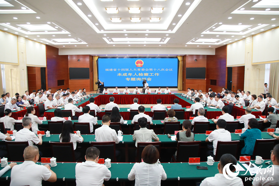 專題詢問會現場。人民網 陳永整攝