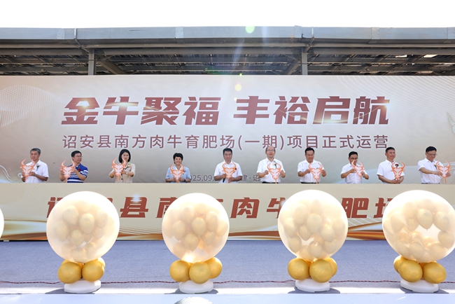 詔安縣南方肉牛育肥場一期項目正式開園運營