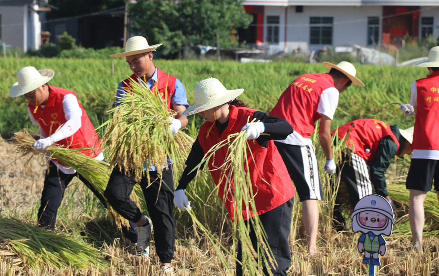中建四局組織黨員前往長汀縣策武鎮開展助力農業生產活動。中建四局供圖