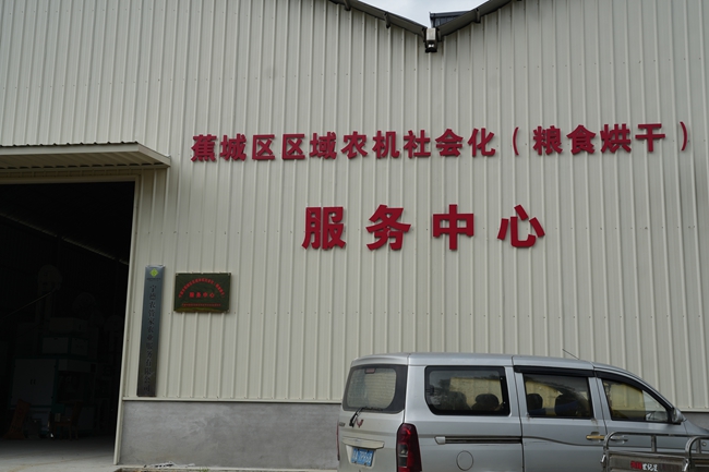 农户收获的湿谷可直接运至服务中心烘干