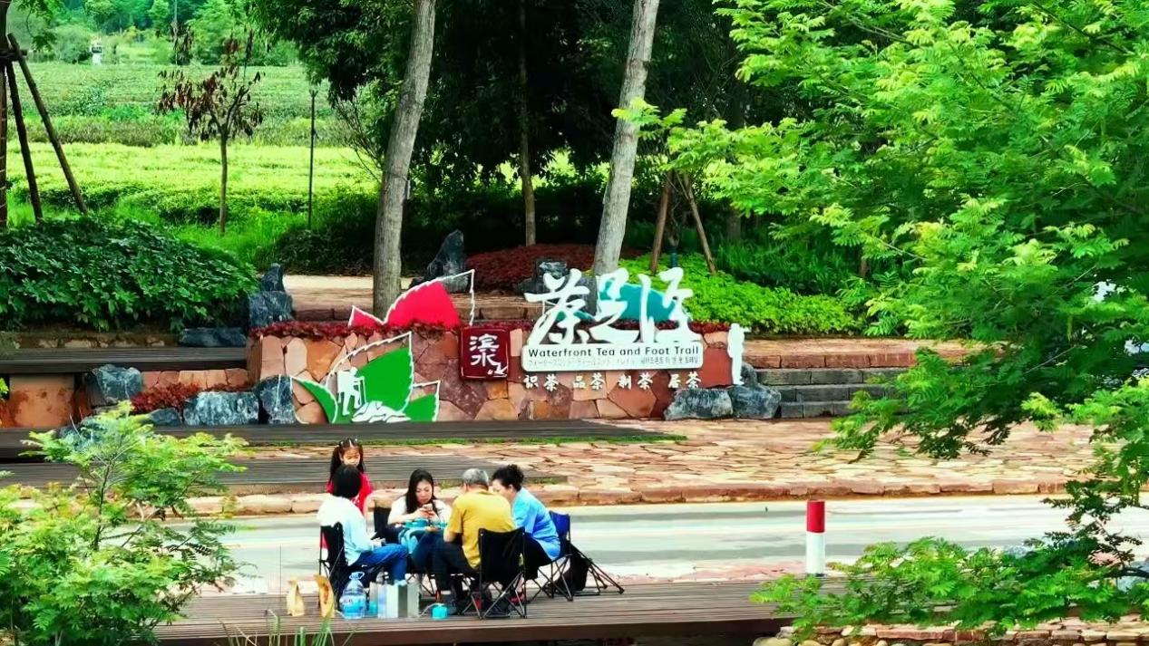 星村濱水茶足徑。星村鎮供圖